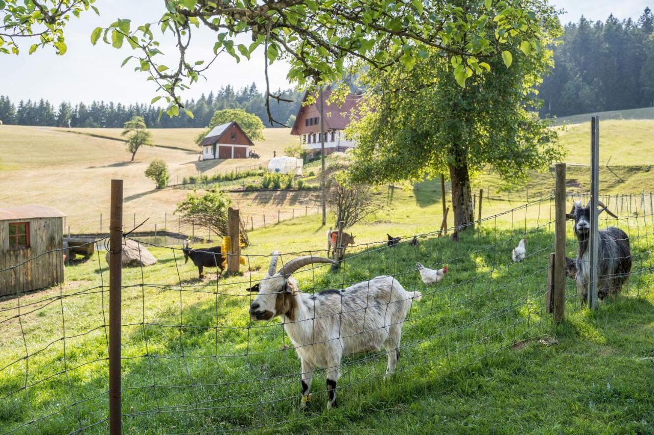 Klausenhansenhof Wolfach Bagian luar foto