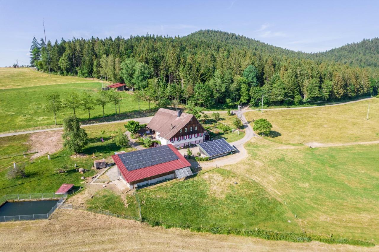Klausenhansenhof Wolfach Bagian luar foto